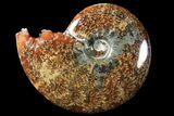 Polished, Agatized Ammonite (Cleoniceras) - Madagascar #94274-1